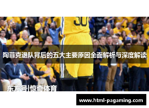 陶菲克退队背后的五大主要原因全面解析与深度解读